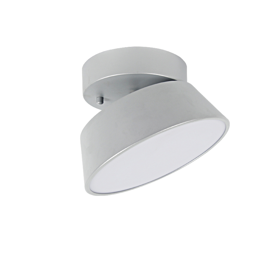 디오스 직부등 (소)