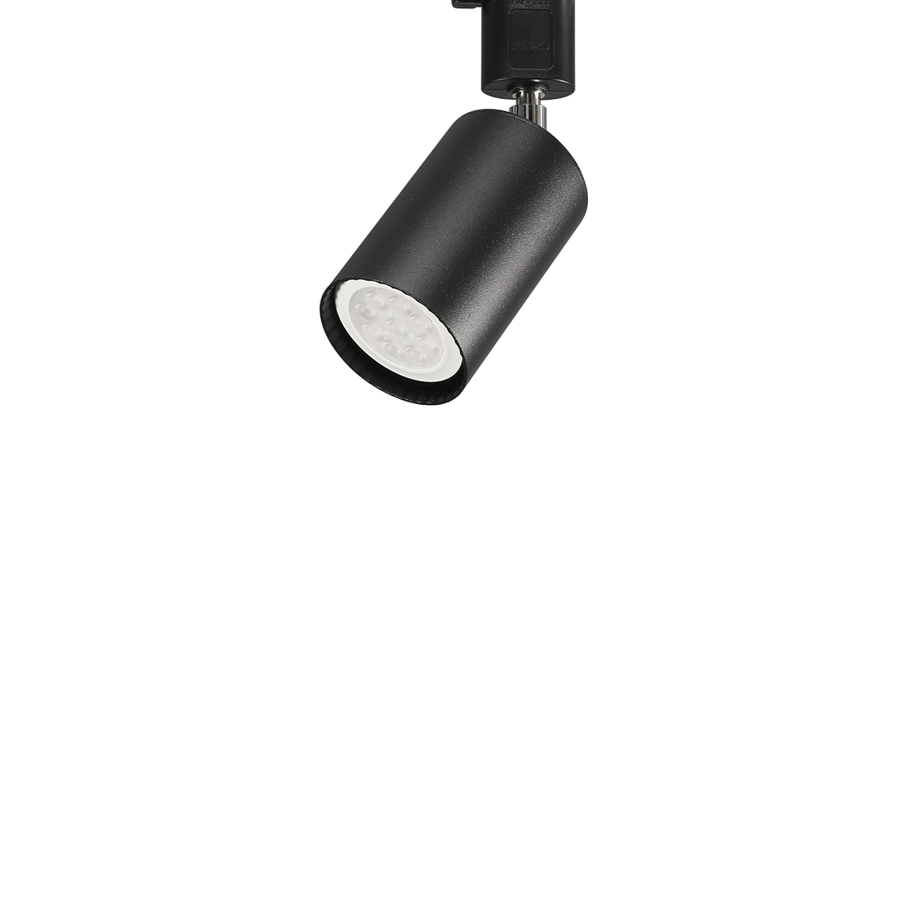 파20 자유봉 스포트