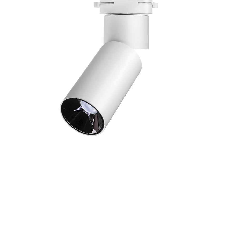 루나 스포트(대)